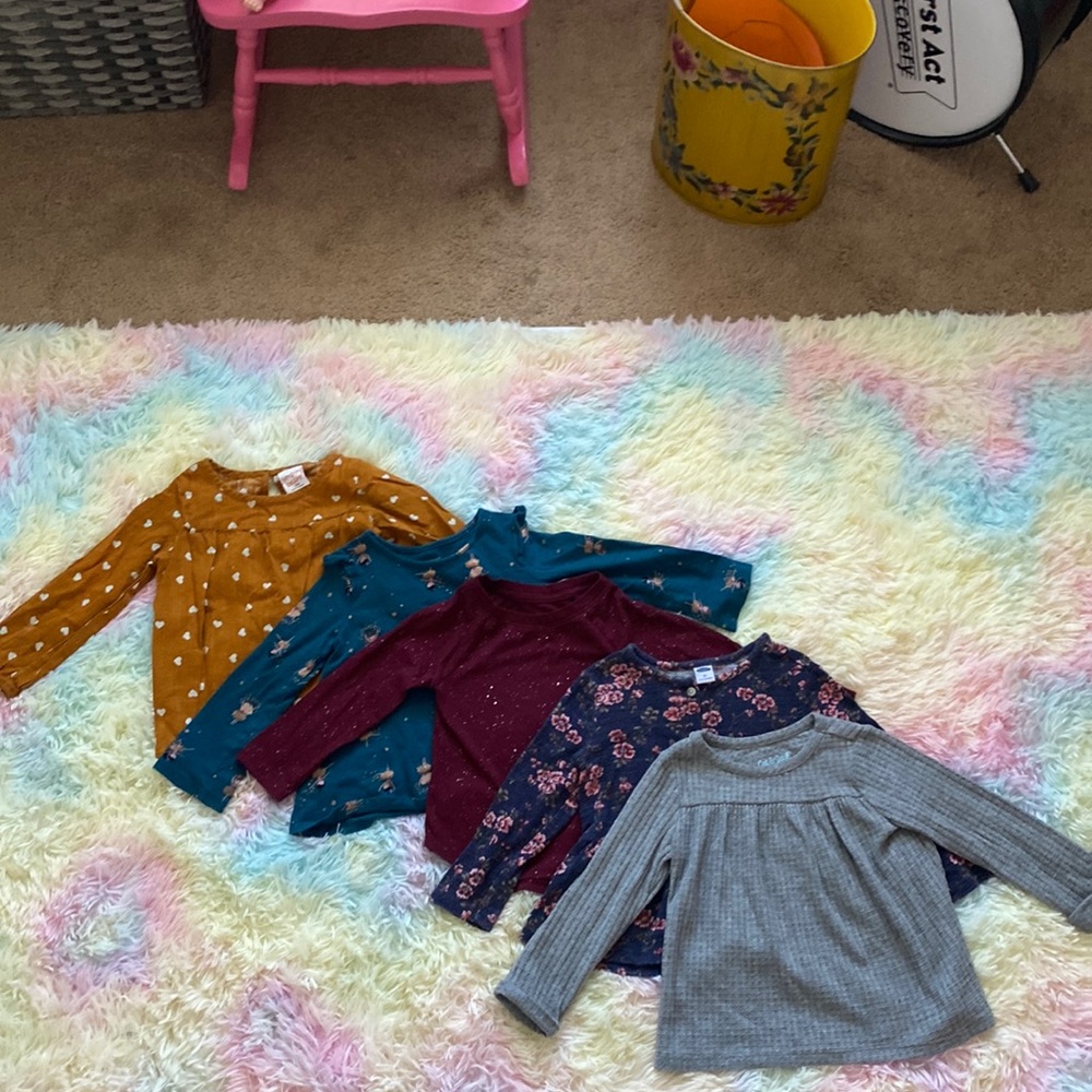 Lot 24m 2 toddler girls long sleeve various brands